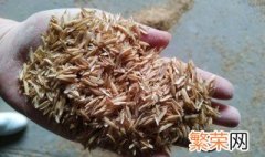 稻壳有什么作用 关于稻壳的作用介绍