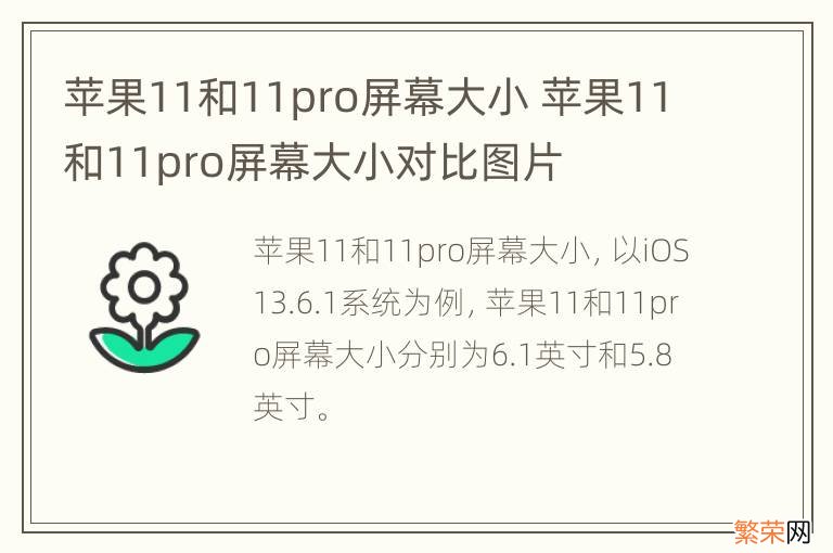 苹果11和11pro屏幕大小 苹果11和11pro屏幕大小对比图片