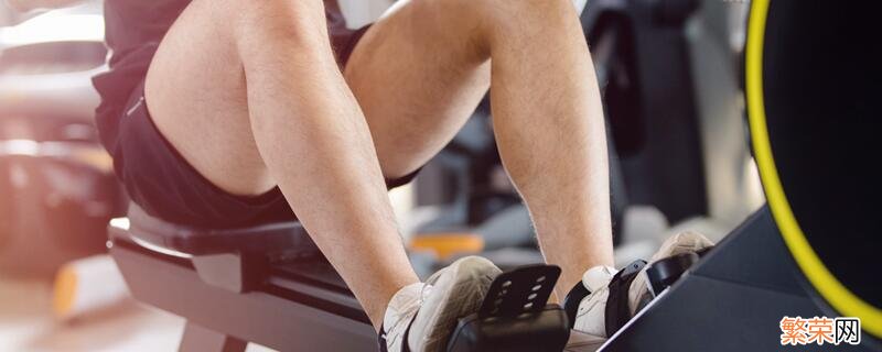 如何锻炼腿部肌肉和力量 腿部肌肉和力量怎么练