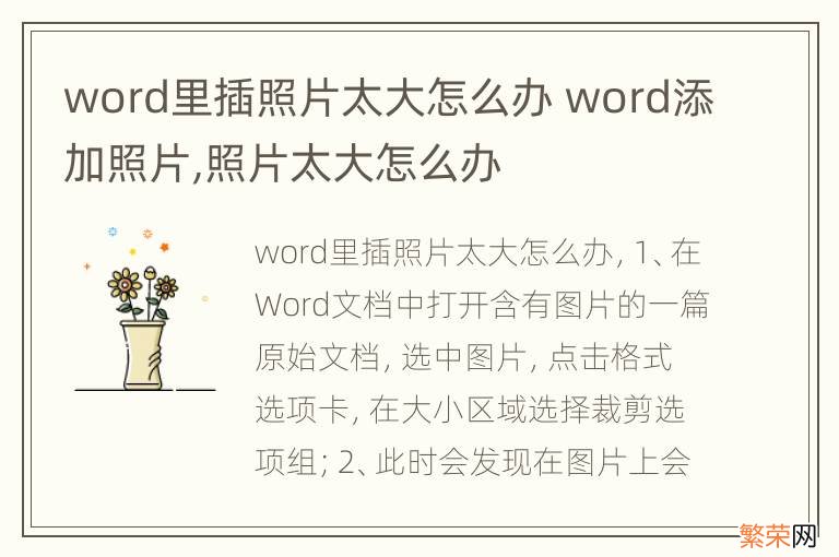 word里插照片太大怎么办 word添加照片,照片太大怎么办