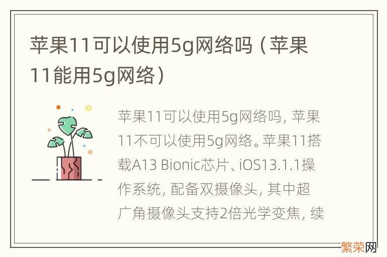 苹果11能用5g网络 苹果11可以使用5g网络吗