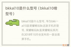 bkkal10啥型号 bkkal10是什么型号