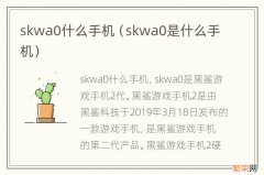 skwa0是什么手机 skwa0什么手机