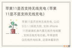 苹果11是不是支持无线充电 苹果11是否支持无线充电