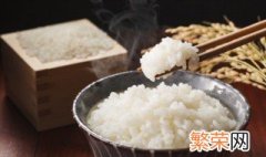 防治米虫的方法 如何有效防治米虫