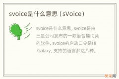 sVoice svoice是什么意思