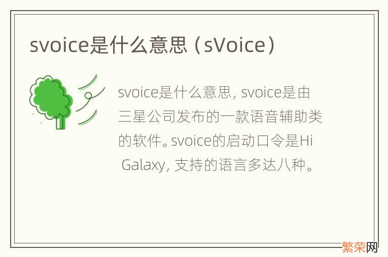 sVoice svoice是什么意思