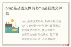 bmp是动画文件吗 bmp是视频文件吗