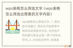 wps表格怎么筛选出需要的文字内容 wps表格怎么筛选文字