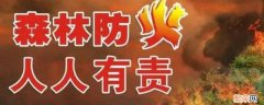 森林防火知识宣传内容100字 森林防火知识宣传内容