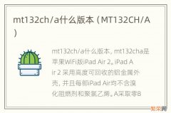 MT132CH/A mt132ch/a什么版本