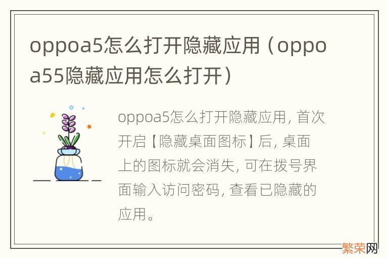 oppoa55隐藏应用怎么打开 oppoa5怎么打开隐藏应用