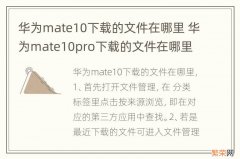 华为mate10下载的文件在哪里 华为mate10pro下载的文件在哪里