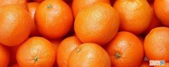 橙子寓意 高考送橙子寓意
