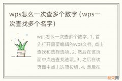 wps一次查找多个名字 wps怎么一次查多个数字