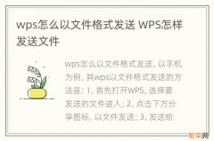 wps怎么以文件格式发送 WPS怎样发送文件