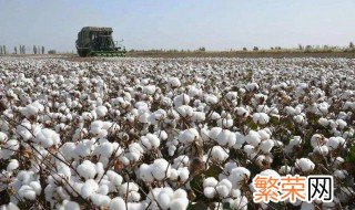新疆摘棉花是什么梗 到新疆摘棉花是什么梗