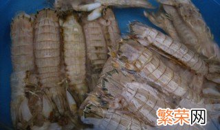 养皮皮虾的正确方法 养殖皮皮虾的方法
