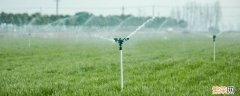 农业灌溉水管有哪些 农用灌溉用什么水管