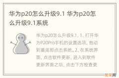 华为p20怎么升级9.1 华为p20怎么升级9.1系统