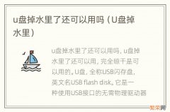 U盘掉水里 u盘掉水里了还可以用吗