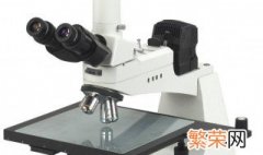 显微镜使用步骤 显微镜怎么使用