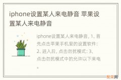 iphone设置某人来电静音 苹果设置某人来电静音