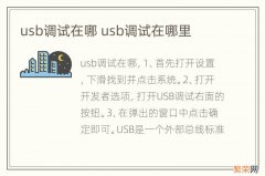 usb调试在哪 usb调试在哪里