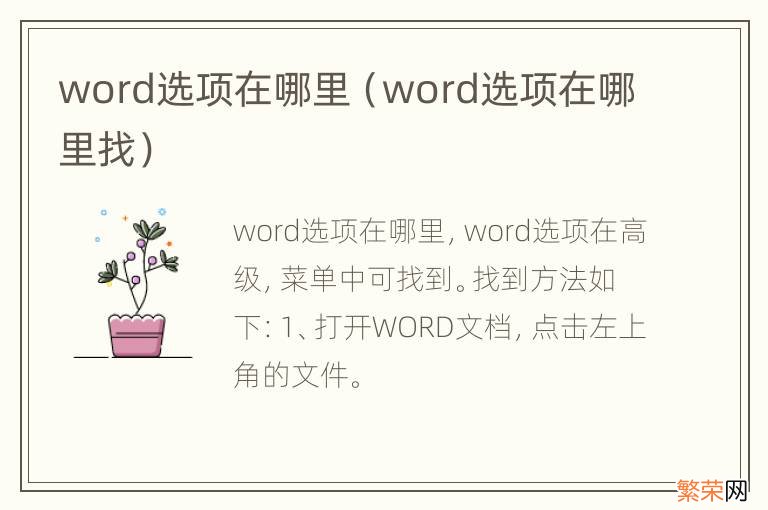 word选项在哪里找 word选项在哪里