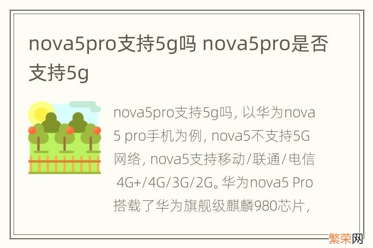 nova5pro支持5g吗 nova5pro是否支持5g