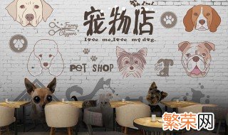 特别一点宠物店名字 特别一点宠物店名字有哪些