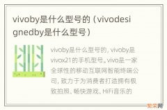 vivodesignedby是什么型号 vivoby是什么型号的