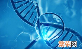 原核生物和真核生物有哪些主要区别 原核生物和真核生物有哪些主要区别和联系