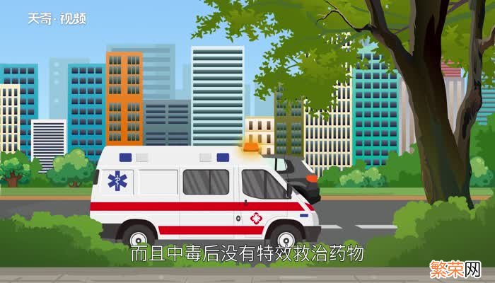 酸汤子是什么东西 酸汤子是一种什么食物