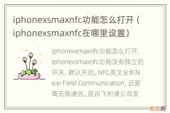 iphonexsmaxnfc在哪里设置 iphonexsmaxnfc功能怎么打开