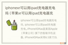 苹果xr可以用ipad充电器充电吗 iphonexr可以用ipad充电器充电吗