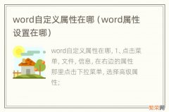 word属性设置在哪 word自定义属性在哪