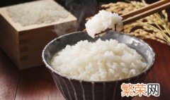 电煮锅可以煮米饭吗 电煮锅能否煮米饭