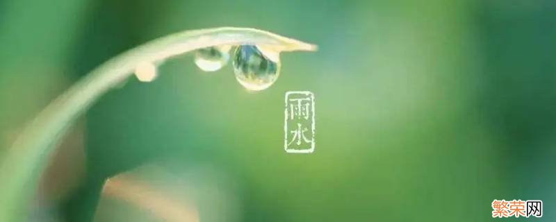 雨水节气吃什么 雨水节气吃什么水果