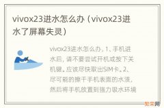 vivox23进水了屏幕失灵 vivox23进水怎么办