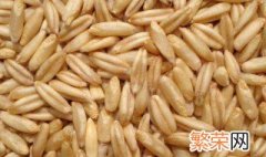 莜面是什么麦 莜麦粒是什么