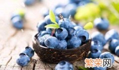 怎么洗蓝莓最好 蓝莓的介绍
