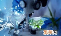 生物安全包括什么 生物安全包括什么什么什么防范生物恐怖袭击与生物武器