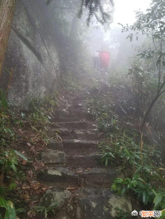 《明日之后》中,如果快乐101的健康值为零变成僵尸,快乐101会沦陷吗？