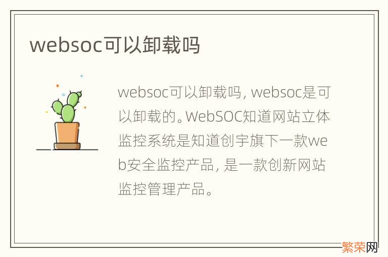 websoc可以卸载吗