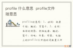 profile 什么意思profile文件啥意思