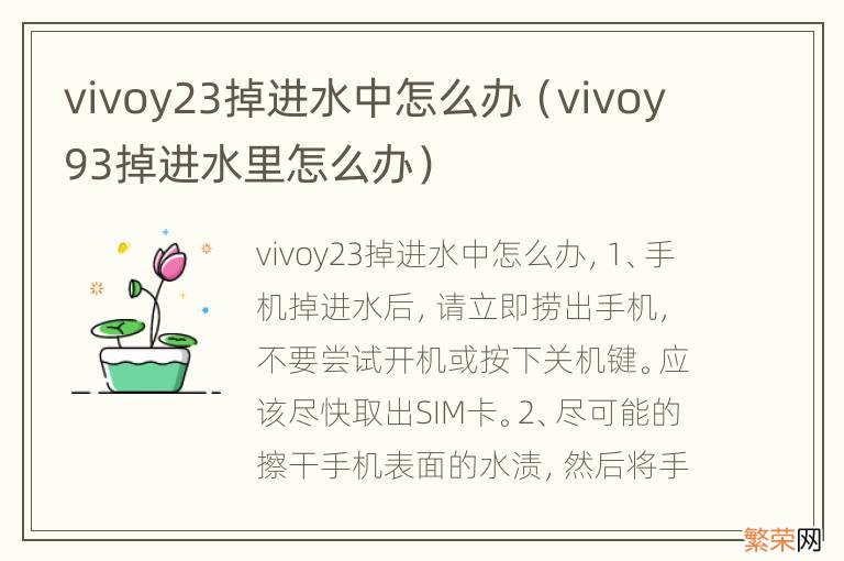 vivoy93掉进水里怎么办 vivoy23掉进水中怎么办