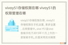 vivoy51存储权限在哪 vivoy51的权限管理在哪