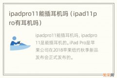 ipad11pro有耳机吗 ipadpro11能插耳机吗