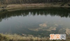 死水是什么意思 死水意思是什么